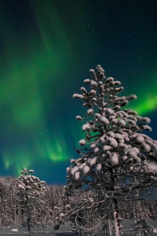 Saariselkä: Northern Lights Hunting Snowshoe Trip - The Mid-Route Warm-Up: Why Hot Chocolate Changes Everything