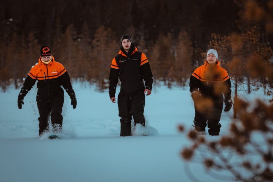 Saariselkä: Northern Lights Hunting Snowshoe Trip - Dressing for Lapland Winter: Stay Warm, Stay Happy