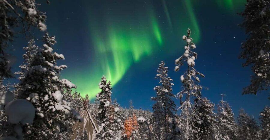 Saariselkä: Northern Lights Hunting Snowshoe Trip - Pickup, Meeting Time, and How Not to Miss the Safari