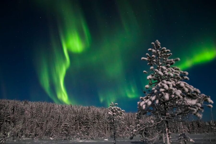 Saariselkä: Northern Lights Hunting Snowshoe Trip - What You’ll Do During the 2.5 Hours (and Why It Feels Good)