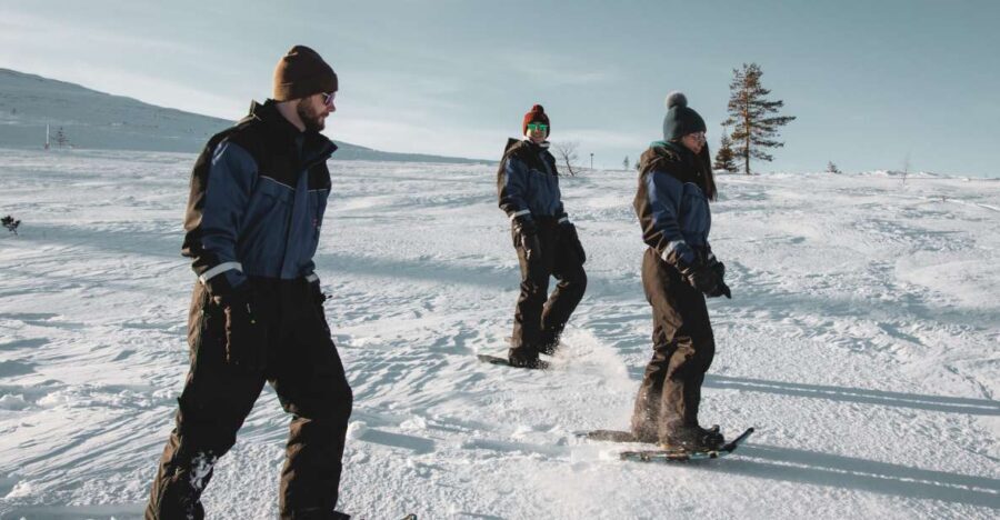 Saariselkä: Scenic Snowshoe Safari - Key highlights worth your time