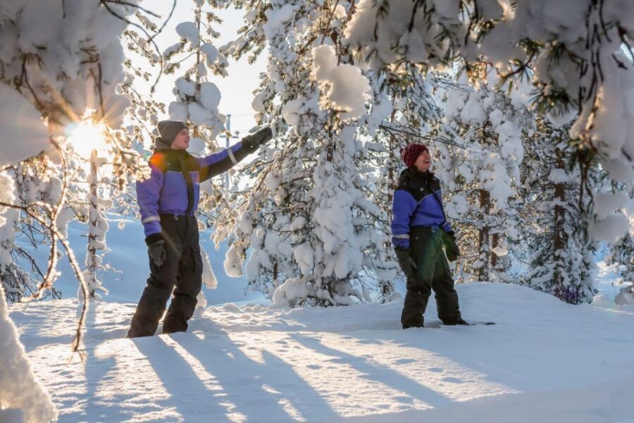 Saariselkä: Scenic Snowshoe Safari - Price and value: what $96 buys in Saariselkä