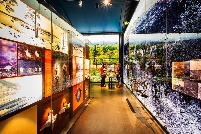 Sámi Village Inari and Siida Museum by Car - Quick hits for your Sami Village Inari day