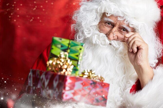 Santa Claus Village Guided Tour & Arctic Animals Adventure - Key highlights to look forward to