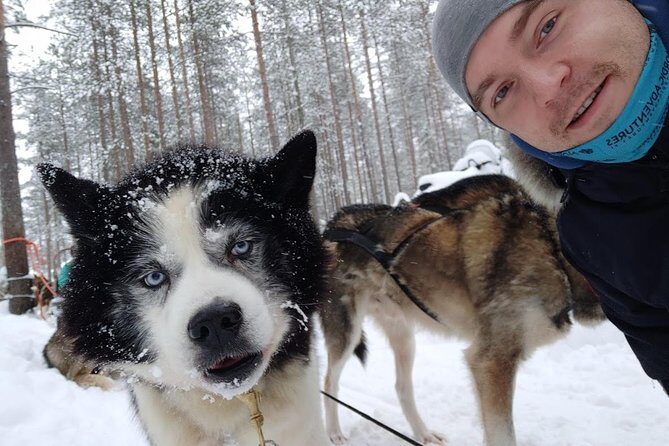 Santa Claus Village Guided Tour & Arctic Animals Adventure - Getting picked up in Rovaniemi without missing the moment