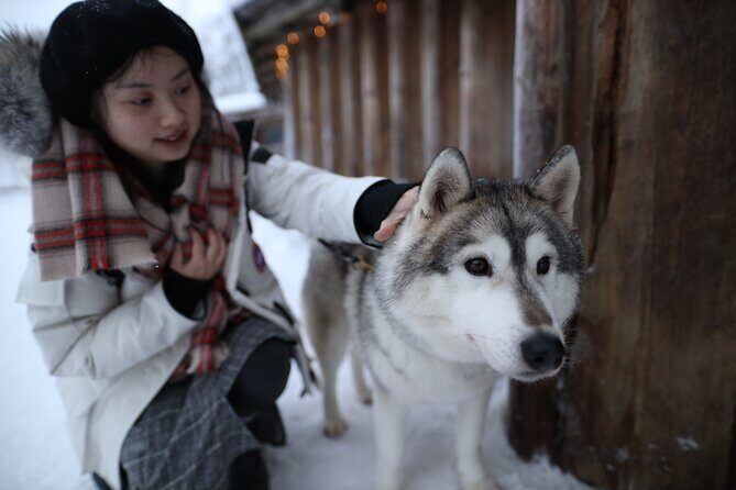 Santa Claus Village, Husky and Reindeers Combo Safari - Reindeer yard: the 400m sleigh ride and the farm break