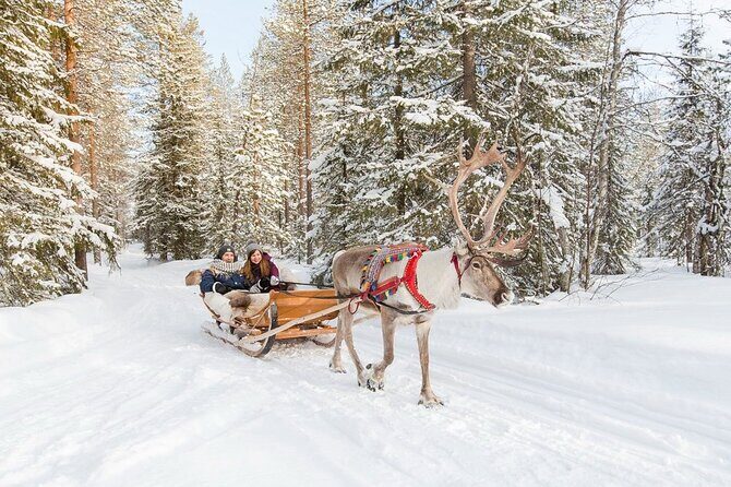 Santa's Reindeer & Husky Safari + Aurora BBQ in Rovaniemi - Aurora hunt at night: two stops, guided introductions