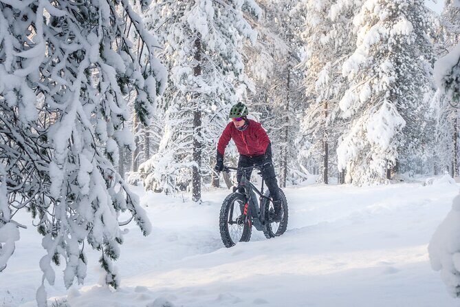 Scenic electric fat bike group ride in Rovaniemi - What you’re really paying for: value of the $126.50 experience