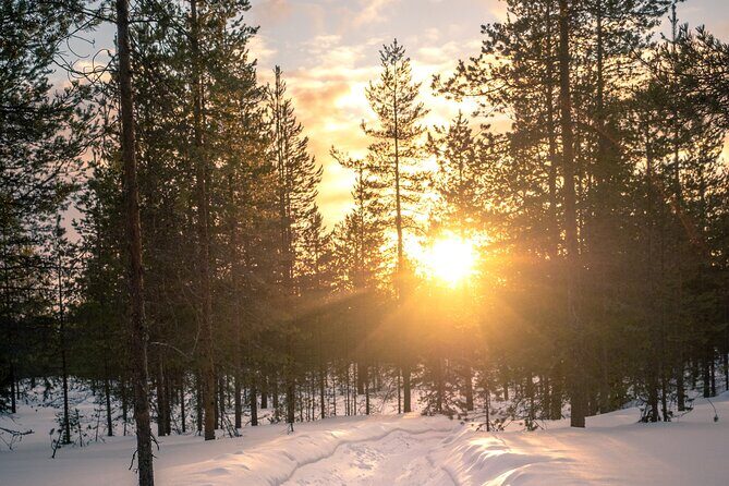 Scenic electric fat bike group ride in Rovaniemi - How the group size changes everything (for the better)