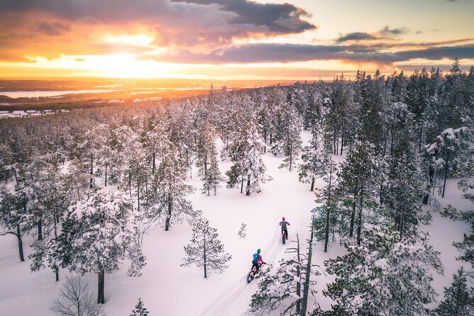 Scenic electric fat bike group ride in Rovaniemi - Who should book this e-fat bike ride—and who should think twice