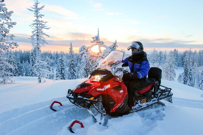 Scenic Snowmobile Safari in Saariselkä - Key Highlights You’ll Actually Care About