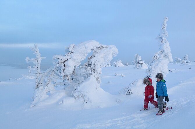 Scenic Snowshoeing on the Top of Pyhä Fell - What to bring: the one non-negotiable is winter clothing
