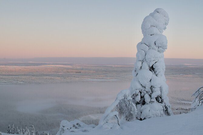 Scenic Snowshoeing on the Top of Pyhä Fell - Learning snowshoes with a guide (so you feel steady)