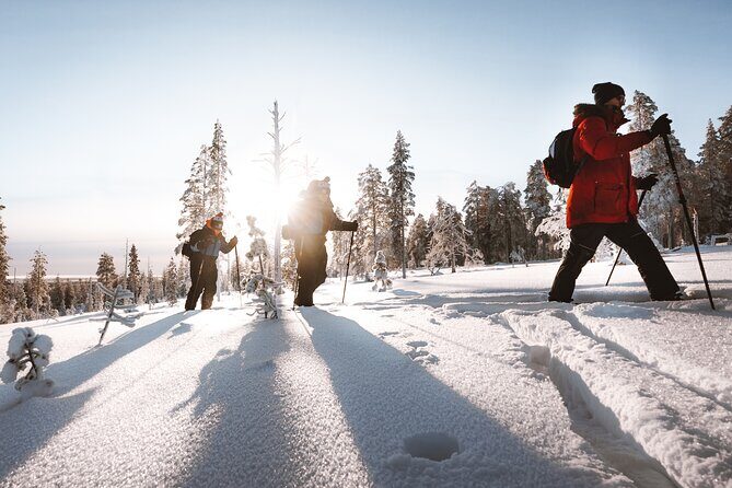 Ski Trekking Safari in Lapland - Backcountry skiing near Rovaniemi: why it feels special