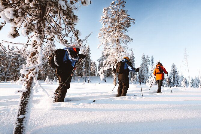 Ski Trekking Safari in Lapland - Avoiding crowds: the real privacy advantage