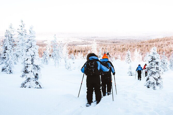 Ski Trekking Safari in Lapland - Price and value: what $131.32 buys you (and what it doesn’t)