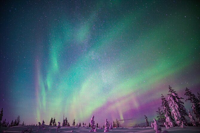 Ski Trekking under the Northern Lights - Small Groups, English Guides, and the Value of a Guide Who Adjusts