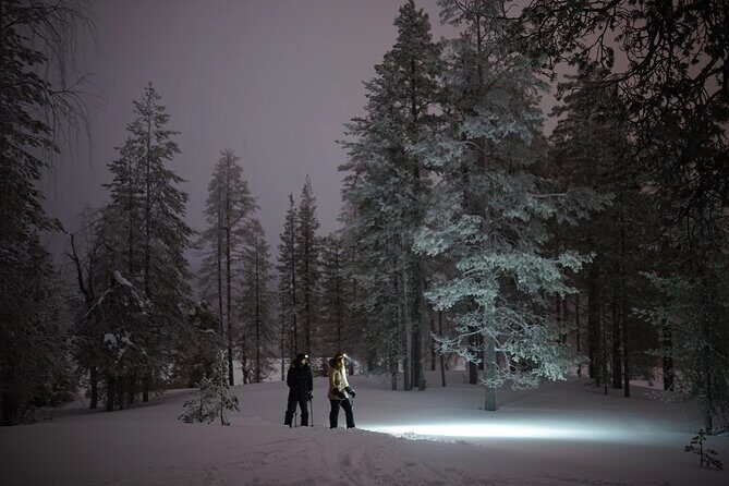 Ski Trekking under the Northern Lights - Who This Tour Suits Best (and When to Choose Something Else)