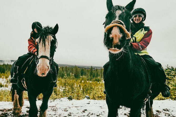 Small-Group Arctic Circle Horse Riding from Rovaniemi - From Rovaniemi to the Horse Farm: Getting Out of Town