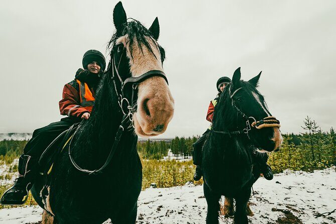 Small-Group Arctic Circle Horse Riding from Rovaniemi - What the Ride Feels Like in Lapland Weather