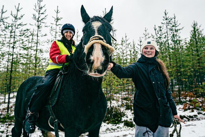 Small-Group Arctic Circle Horse Riding from Rovaniemi - Small Group Matters More Than You Think