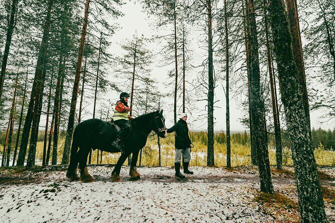 Small-Group Arctic Circle Horse Riding from Rovaniemi - Price and Value: Is $145 Fair?
