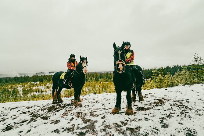 Small-Group Arctic Circle Horse Riding from Rovaniemi - Practical Tips: Clothes, Comfort, and Rider Limits