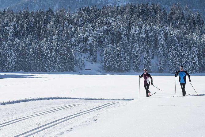 Small-Group Lapland Cross Country Ski - Cross-Country Skiing in Rovaniemi: What a 3½-Hour Session Really Delivers