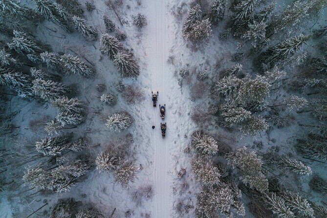Small-Group Snowmobile Experience in Rovaniemi - Photo Stops That Don’t Feel Like a Checklist