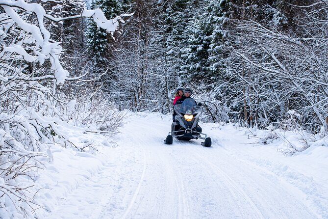 Small-Group Snowmobile Experience in Rovaniemi - Safety Briefing With Real-World Tips (Yes, You’ll Actually Use Them)