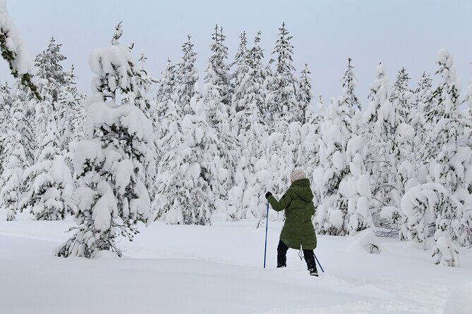 Small-Group Snowshoeing Adventure In Lapland - Key highlights you’ll feel right away