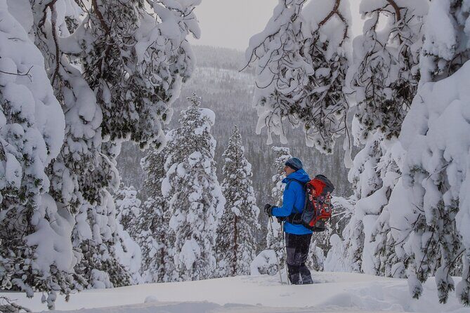Small-Group Snowshoeing Adventure In Lapland - Warm breaks: coffee, snacks, and practical Arctic lessons