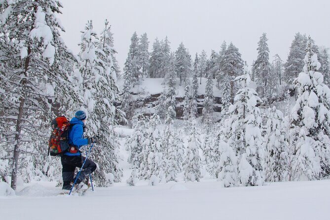 Small-Group Snowshoeing Adventure In Lapland - Logistics that actually matter on snow: starting point, ticket, and weather