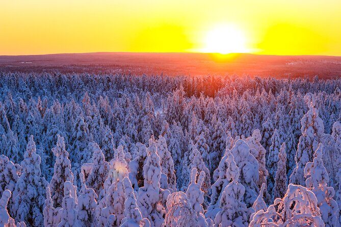 Snowmobile Adventure in Lapland - Price and value: is $198.25 worth it for 4 hours in Lapland?
