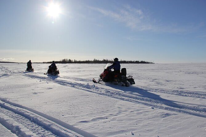 Snowmobile Adventure in Lapland - The ride itself: Taiga forests, frozen ground, and photo stops that matter