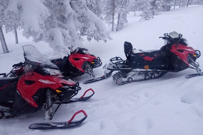 Snowmobile and Ice Fishing Excursion (private tour) - What the 4-hour flow looks like on the ground