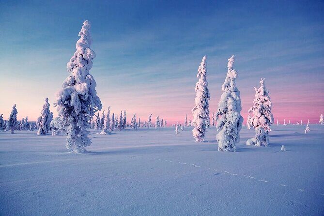 Snowmobile and Ice Fishing Experience - Price and Value at About $240.15 per Person