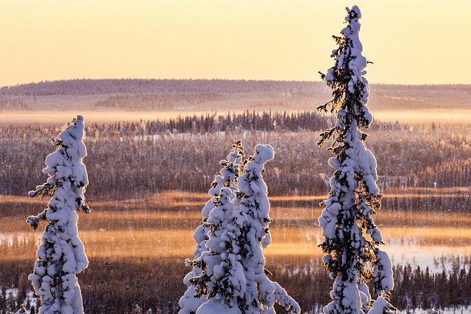 Snowmobile Driving - Morning start - Snowmobile driving and the license rule you should not ignore