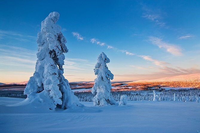 Snowmobile Driving - Morning start - Weather, timing, and why the morning matters