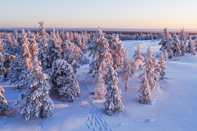 Snowmobile Driving - Morning start - What you should learn to feel confident on the snow