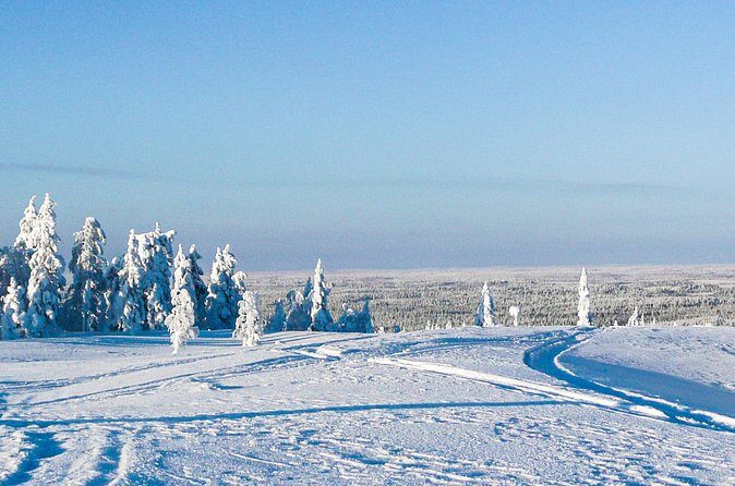Snowmobile Safari in the Forest - Katkavaara nature, animal tracks, and Pisavaara protection