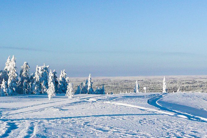 Snowmobile Safari in the Forest - Price and value: what $264.72 covers in real life