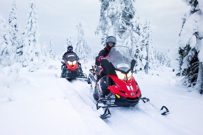 Snowmobile Safari in the Forest - Who should book this Lapland snowmobile safari
