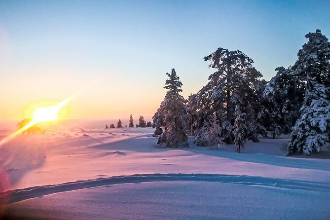 Snowmobile Safari in the Nature - The ride route: forest tracks, frozen lakes, and photo-stop pacing