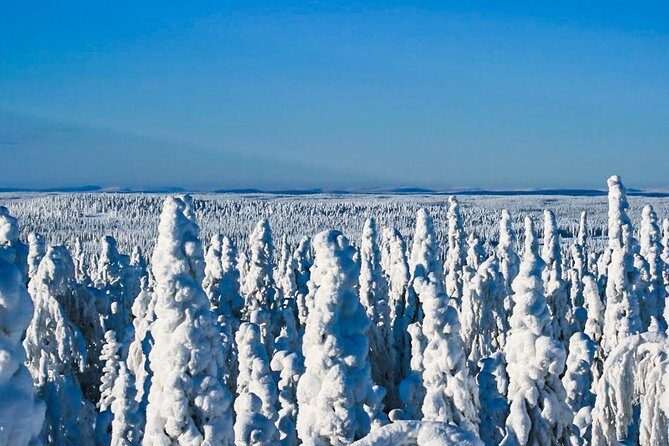 Snowmobile Safari in the Nature - Who should book this snowmobile safari