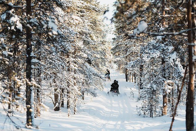 Snowmobile Safari into the Arctic Circle Forest - Why this snowmobile safari feels special in Arctic Finland