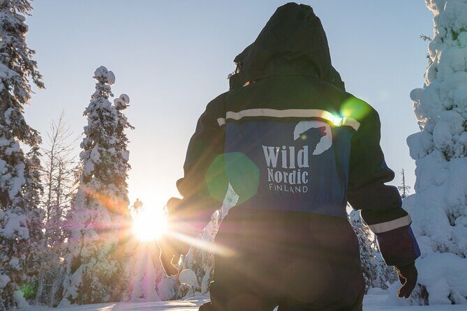 Snowmobile Safari into the Arctic Circle Forest - When the light changes everything: timing, darkness, and cold comfort