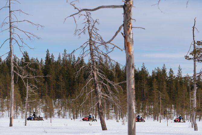 Snowmobile Safari into the Wilderness, Apukka Resort Rovaniemi - Apukka Resort Rovaniemi: a practical base for snowmobile time