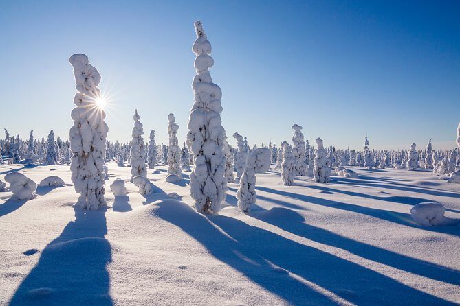 Snowmobile Safari on the Tundra - Cruising the Tundra: What the Ride Feels Like