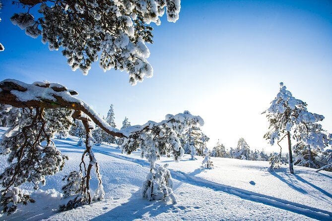 Snowmobile Safari on the Tundra - Barbeque and Warm Drinks: The Break That Changes the Day